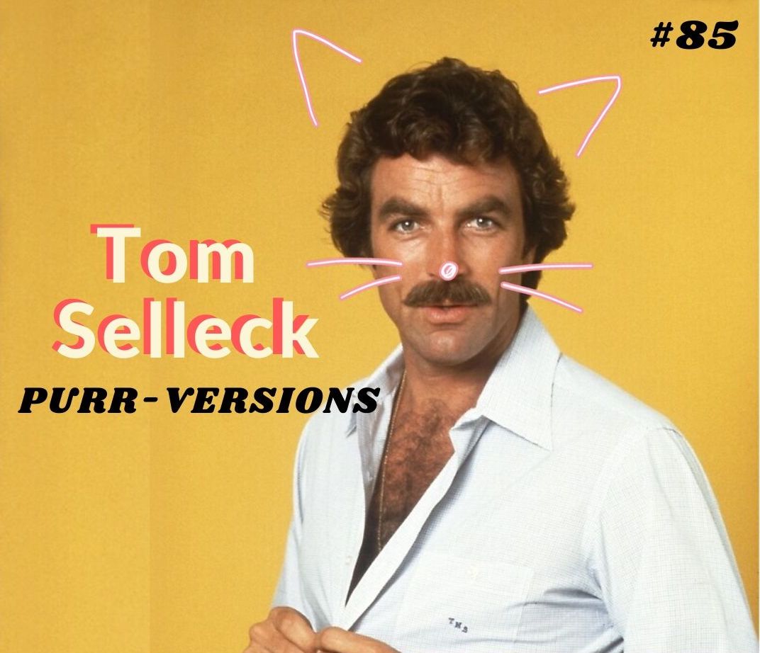 BaboonYodel's tweet photo. Hey, you there! The new Baboon Yodel is up and it's extremely easy on the ears and the eyes. This week Ed and Renee lust over Tom Selleck and talk nostalgia of smell.

Listen wherever you get great podcasts!
https://t.co/mhBMhLkkRM

#BaboonYodel #Podcasts https://t.co/hX59YJAsRk