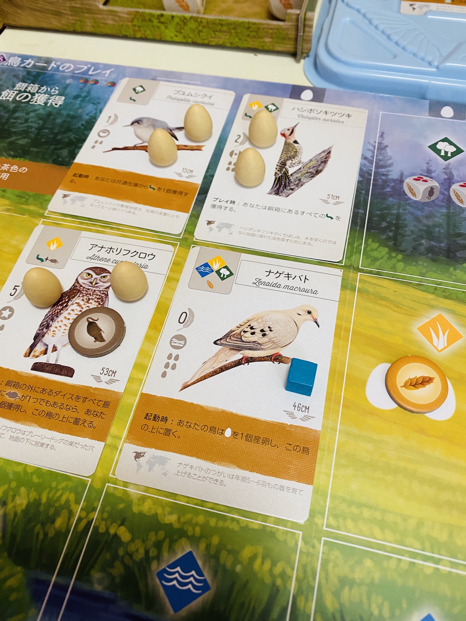 Moa 鳥カードプレイ 到着したばかりのナゲキバトを即召喚 はととダムとwingspan T Co Gatsimiryh Twitter
