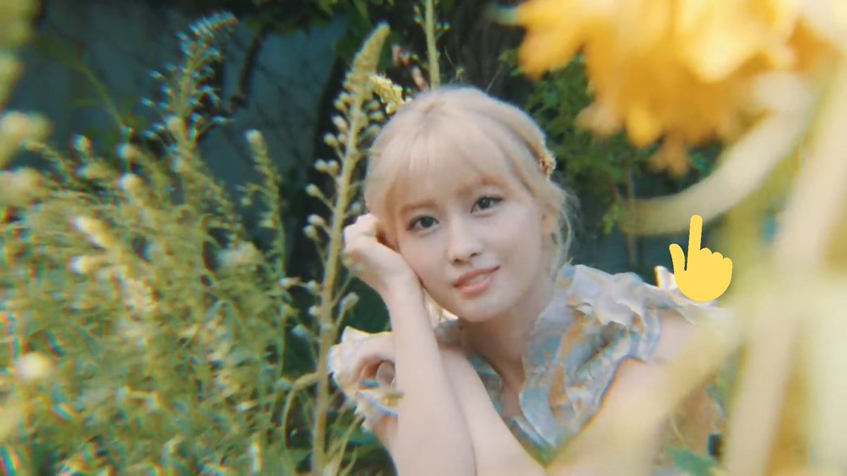 The Crown Imperial/Fritillaria Imperialis(Momo) @JYPETWICE -The plant has no known symbolism, but it doesn't need one.-First ornamental species to be cultivated by humankind.-It keeps mice and moles away by giving off a slightly musky scent. #TWICE  #MOREandMORE