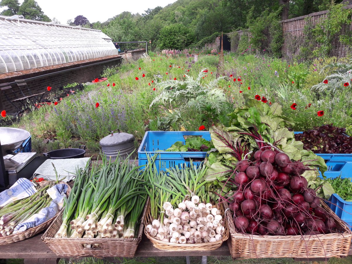 boerluuk's tweet photo. Eindelijk weer een echt volle kraam! Vanaf 10.00 zijn we open. #biologisch #groenten #Maartensdijk #Bilthoven https://t.co/qyWn5EtObl