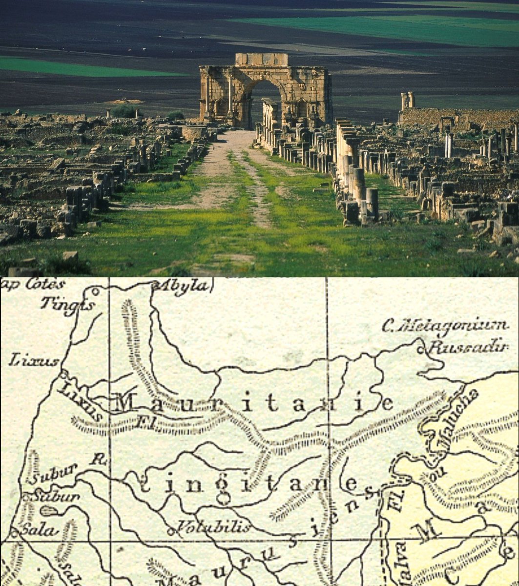  [THREAD]- La faune et la flore en Maurétanie (Maroc Antique), selon Strabon, entre 20 av. J-C. et 23 apr. J-C.