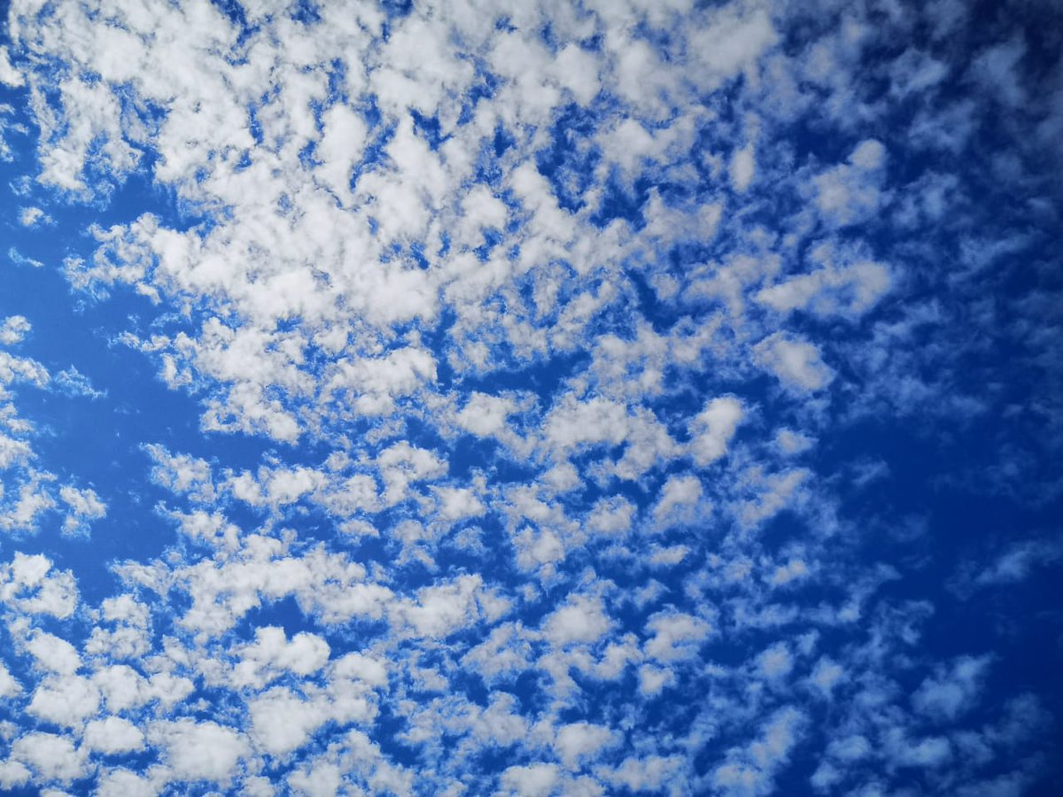 NShinise's tweet photo. Isn't it beautiful! 
#photography #beautiful #sky #clouds #weather #Durban #PHOTOS #photooftheday https://t.co/0zmgriXdrO