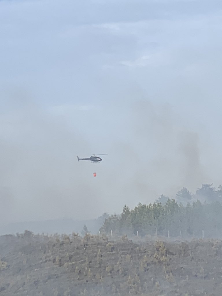 DWFRSCommand's tweet photo. Fire crews are working really hard to save as much of this beautiful habitat as possible. 
The Incident Command system helps us lead and coordinate our crews and resources whilst supporting a coordinated multi agency approach at Wareham Forest @DWFireRescue @ForestryEngland https://t.co/9Ld09MPZZt