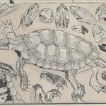 main image of this resource