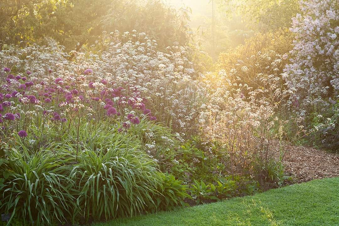 Early morning light @RHSHydeHall @The_RHS @CanonUKandIE @manfrotto_uk @Lowepro @GdnMediaGuild #liveforthestory #loweprobags #photography #gmgchat #photography #RHS