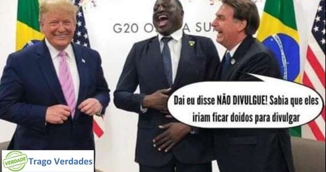 Nel Ivan Trizotti tweet media