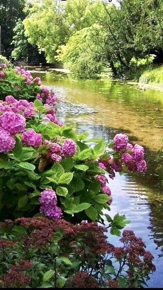 DoukkaliChouaib's tweet image. 😎😎