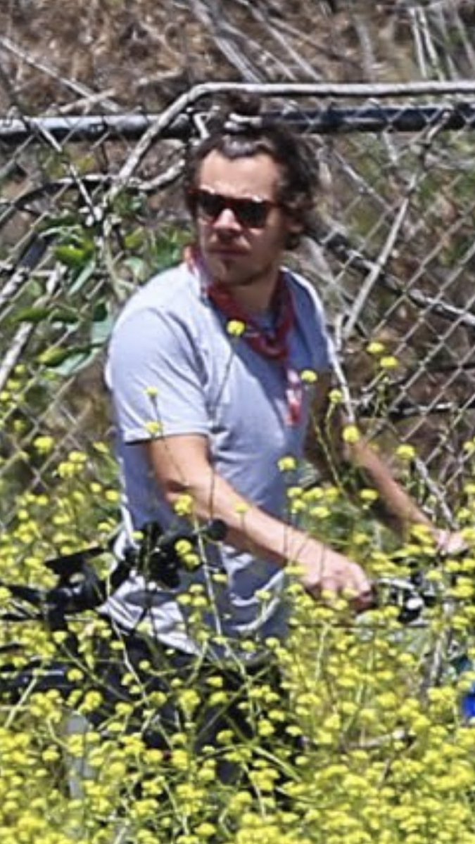 harry with a beard; a thread
