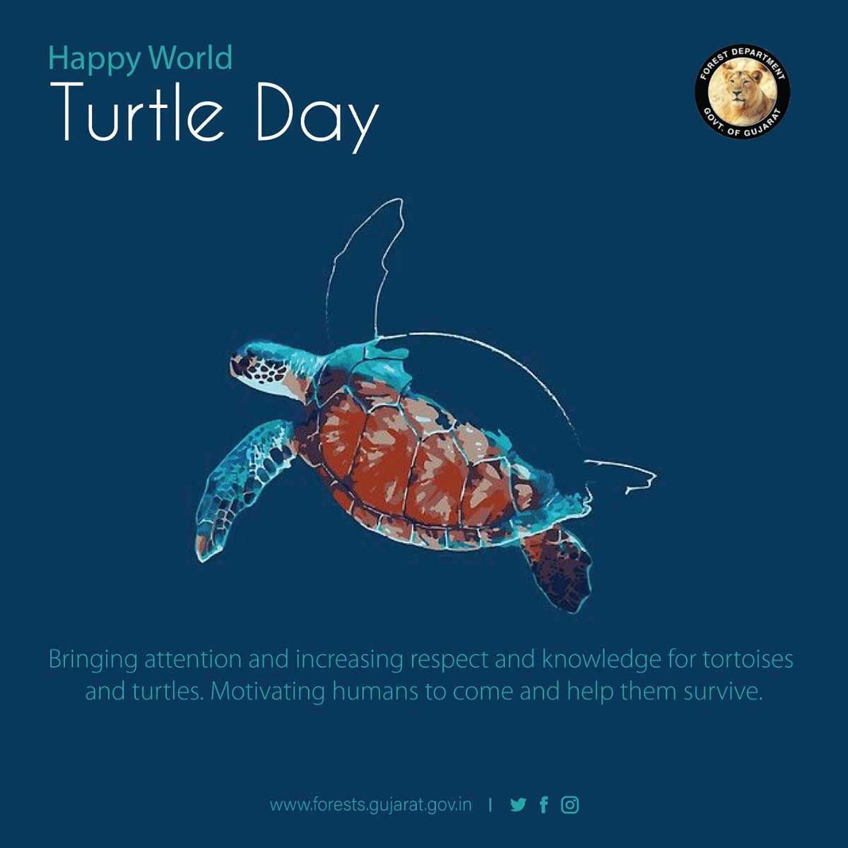 Sea turtles maintain a balance &amp; Contribute to the health of ocean &amp; coastal ecosystems.
Reduce Plastic pollution &amp; Ban Use of large - scale drift net to protect and conserve turtles. #Caretheturtles #HappyWorldTurtleDay #WorldTurtleDay2020