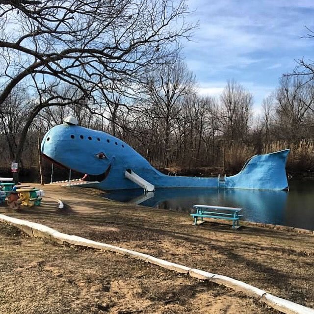 Daily #whenwetravelagain for #NationalRoadTripDay: #BlueWhale, #Catoosa #Oklahoma, #HistoricRoute66 aka #TheMotherRoad originally stretched from Chicago to Santa Monica.
#traveltheworldhistory  #travelblog #historyteacher #americanhistory #route66 #roadtrip #virtualvacation