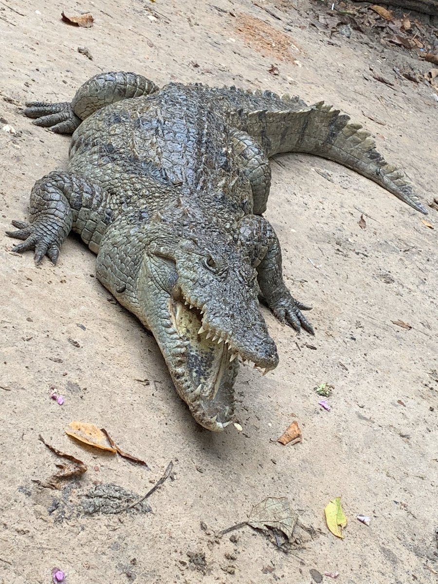 bubacam21's tweet image. 💪💪🥰