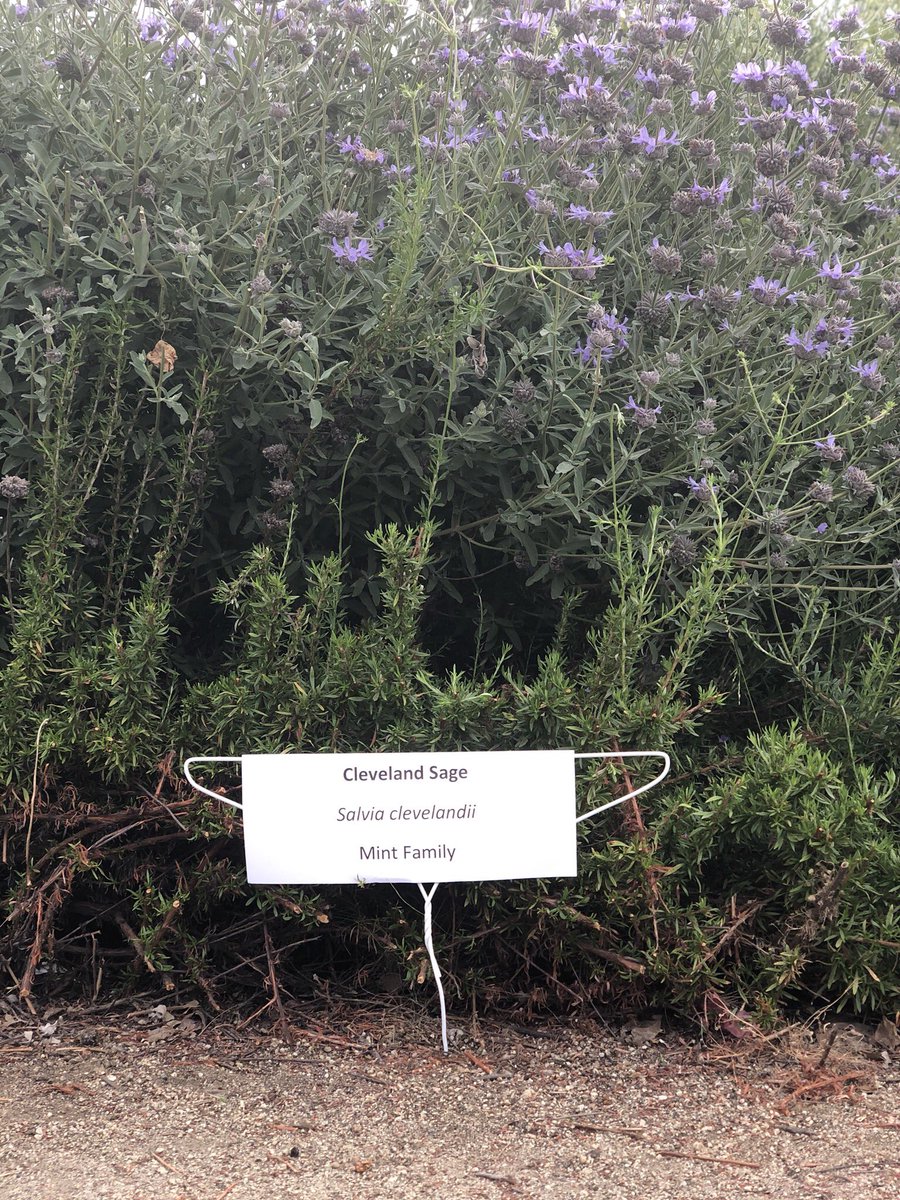 Jennifer Taylor tweet media