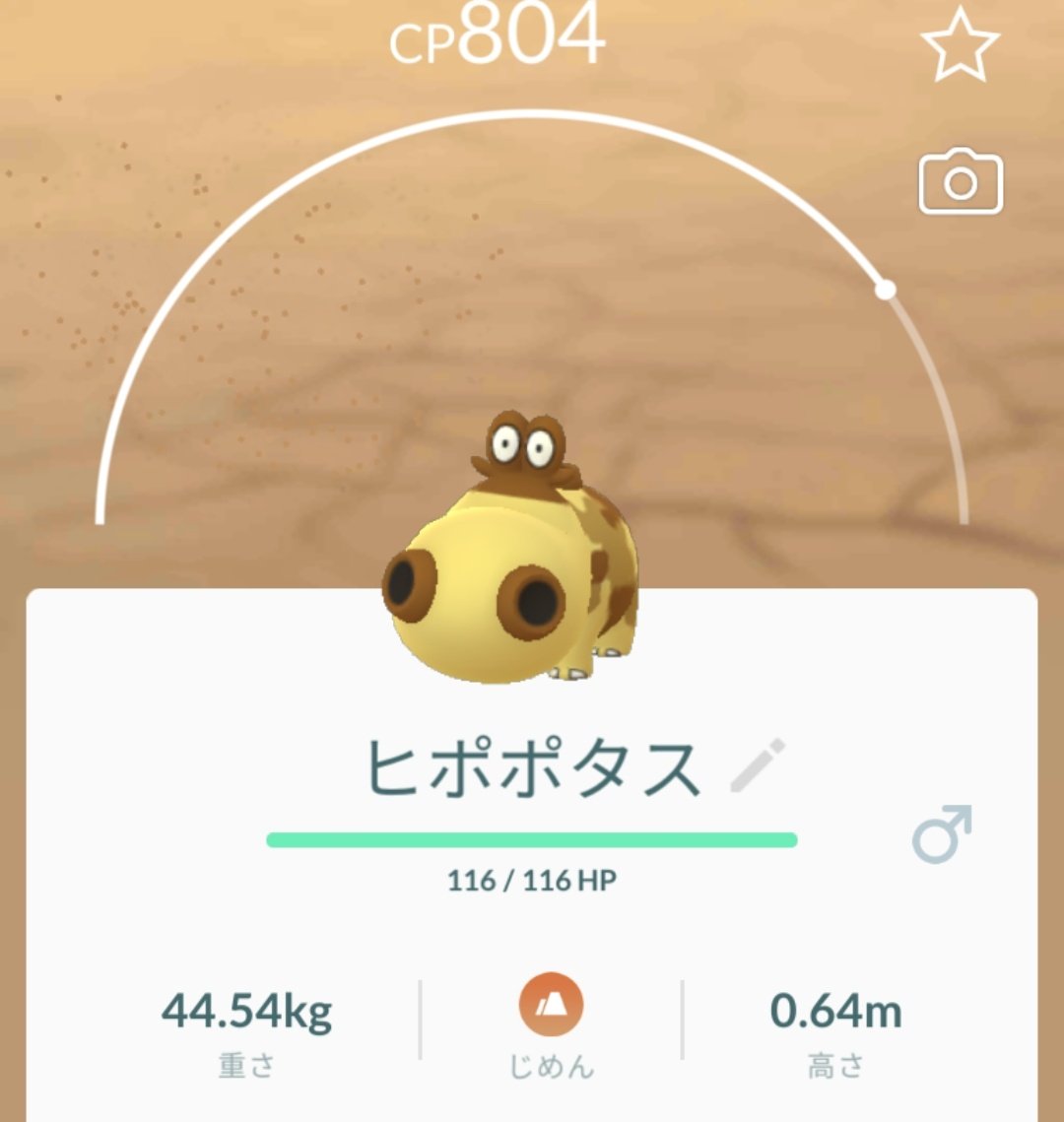 じめんタイプ Twitter Search Twitter