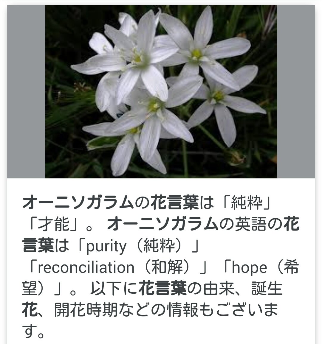 最高の壁紙hd 最も人気のある誕生花英語 最高の壁紙hd 最も人気のある誕生花英語