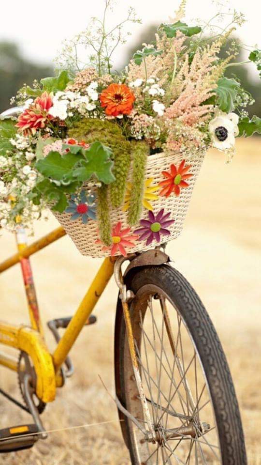 Non fa programmi,
Non pensare troppo,
le cose belle accadono
 all' improvviso 
#buongiorno #TwitterWorld 🤗🗺😘💛🌹🌹🌻🍀☕☕