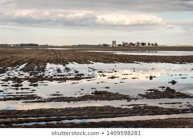 Floods can wreck havoc in your farm. You will get to the field and find all your precious plants that were glowing few hours ago swept away. Some find this n die of stroke or commit suicide. Water logging is also a serious issue. Increases soil acidity, reduce fertility.