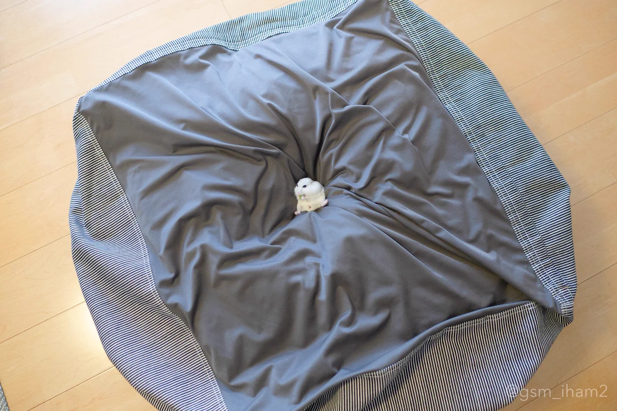 動物にも有効！？人をダメにするソファーでくつろぐハムスターｗｗｗ