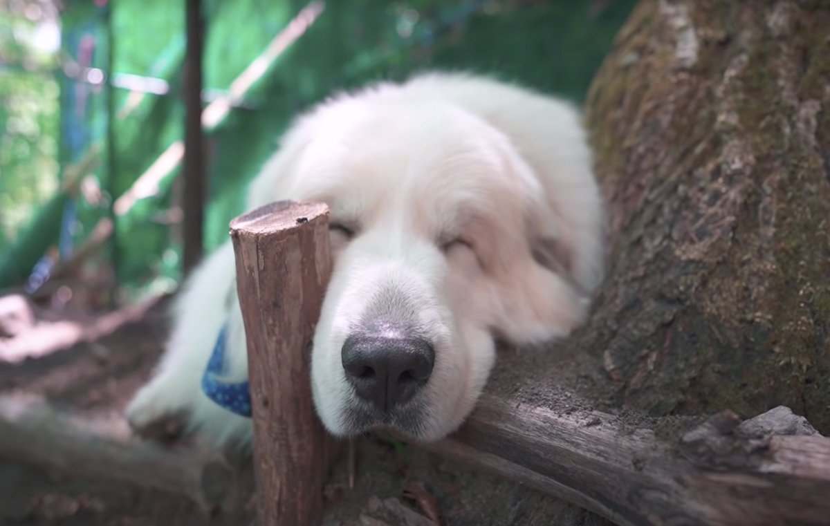 YouTube's tweet image. weekend mood  → yt.be/5Fbs