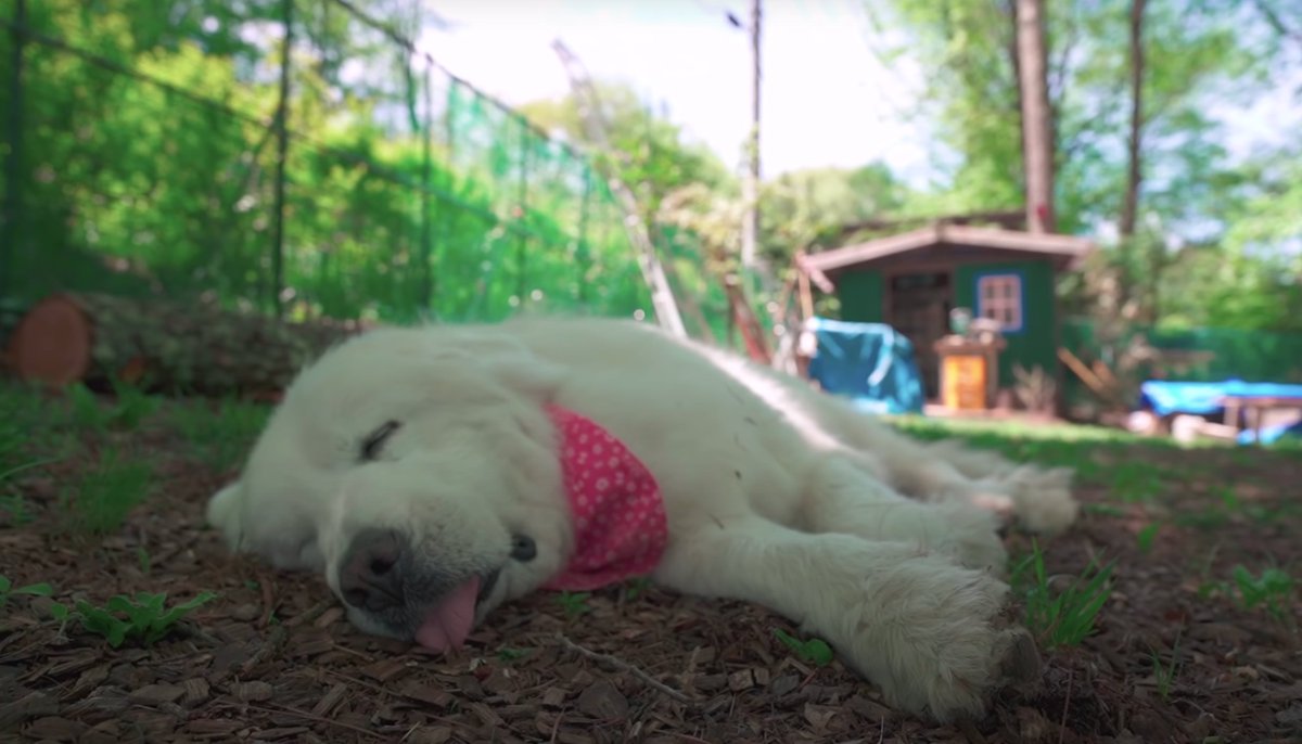 YouTube's tweet image. weekend mood  → yt.be/5Fbs