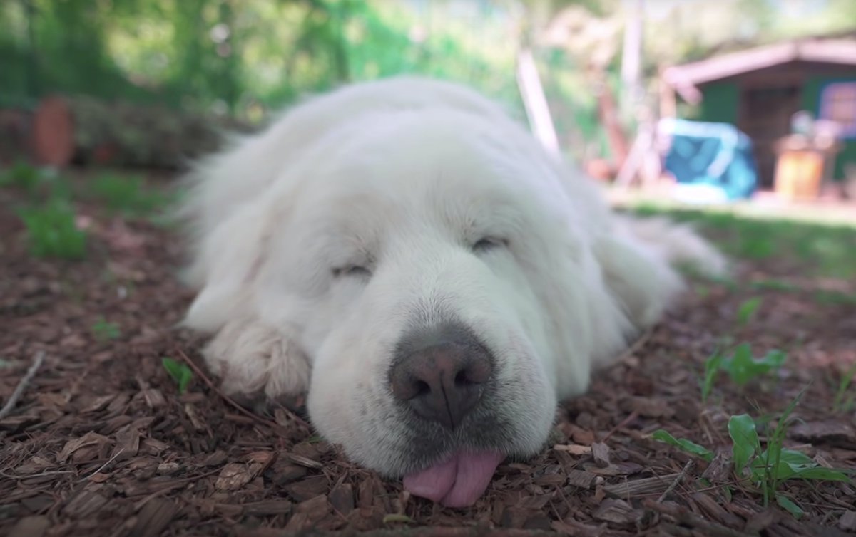 YouTube's tweet image. weekend mood  → yt.be/5Fbs