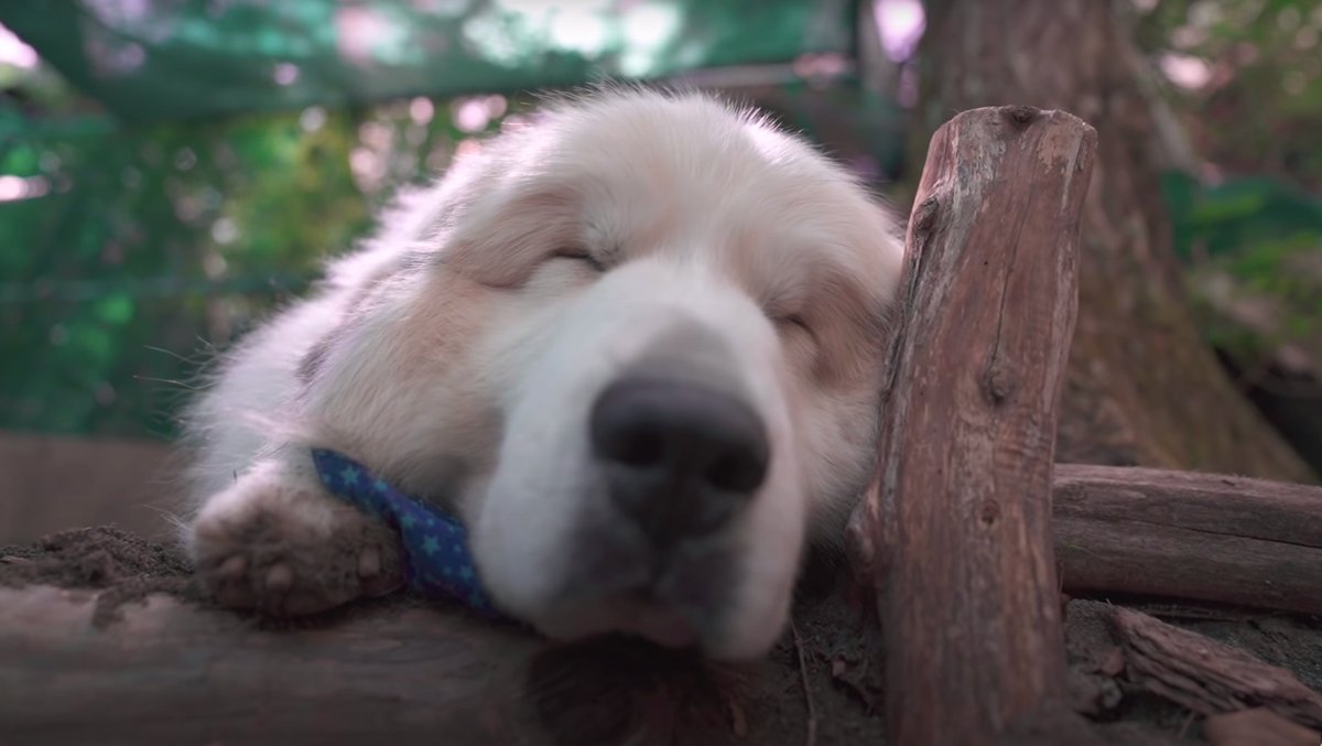 YouTube's tweet image. weekend mood  → yt.be/5Fbs