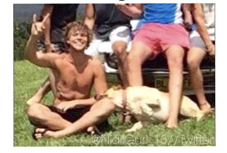 THREAD: Ashton Irwin with dogs/puppies