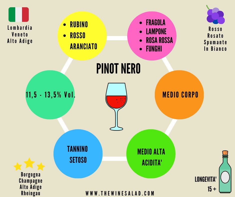 TheWineSalad1's tweet photo. Il Pinot Nero: uno dei vini rossi più amati il Mondo. 
Ecco il perché nel nuovo Blog Post: 
https://t.co/9VUO1pc48R

#vino #wine #wineeducation #pinonero #invinoveritas #winelover https://t.co/CRaCuYCI5v