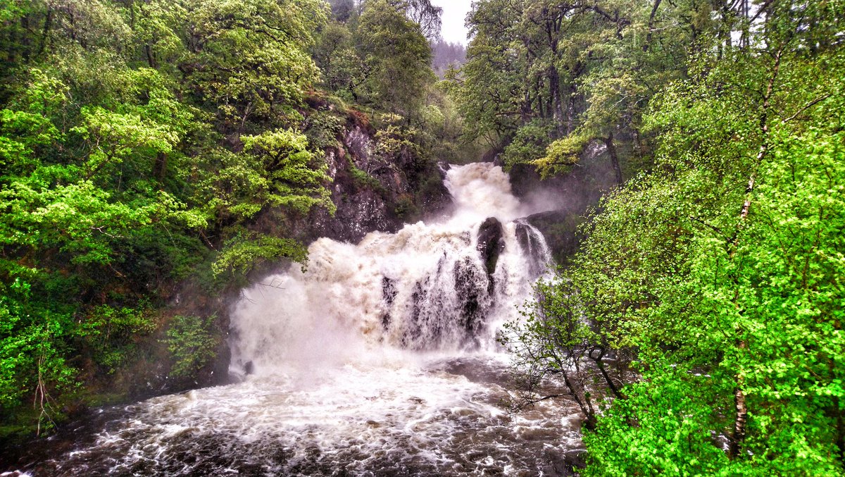 Kaig falls, comes alive with a wee drop of rain.
.
.
#Highlands #Scotland #locharkaig