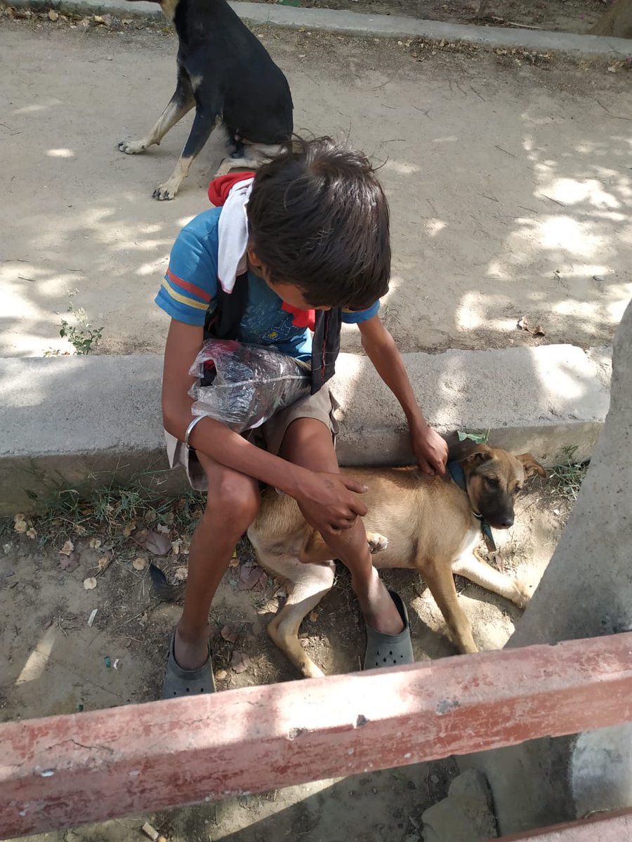 Magic of Twitter. A short story.A migrant couple staying in Delhi left for their home in Bihar before the lockdown. They left their 12 years old child with a relative. But the family soon threw him out. With nowhere to go the child moved to a park in Dwarka and stayed there...