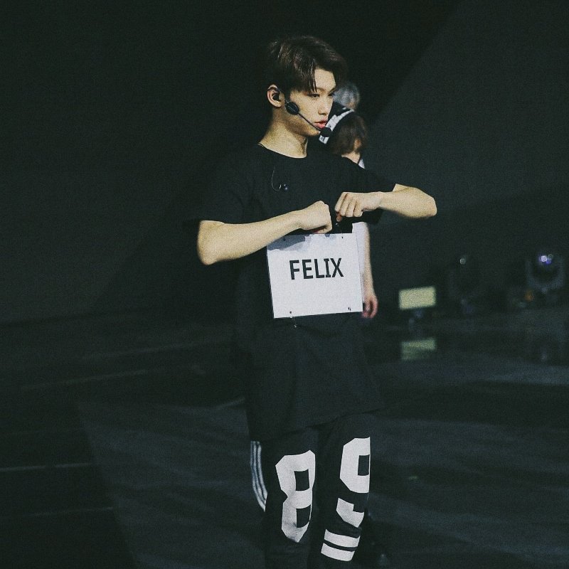 stray kids' lee felix