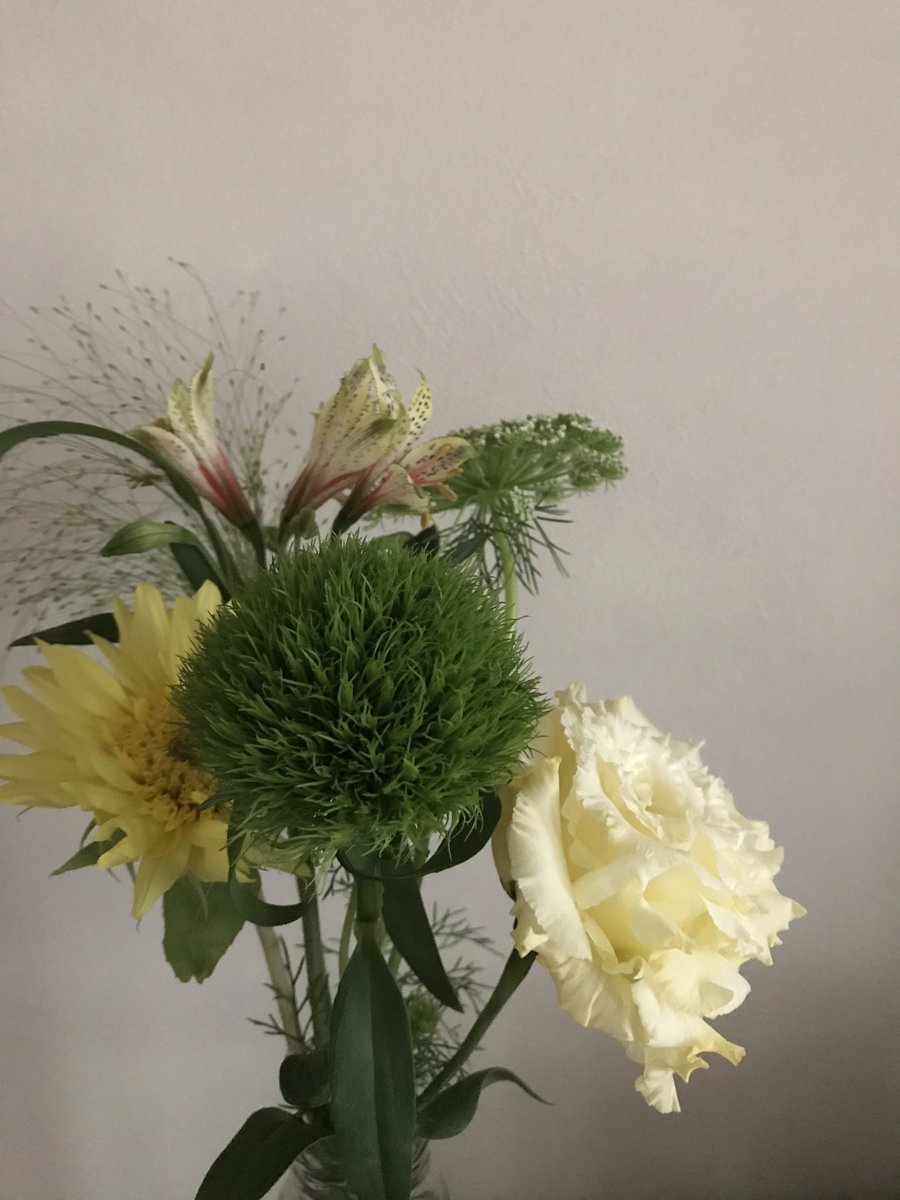 EtePetit's tweet photo. 最近の花たち
お気に入りはクラスペディア https://t.co/oxmkO9r8mg
