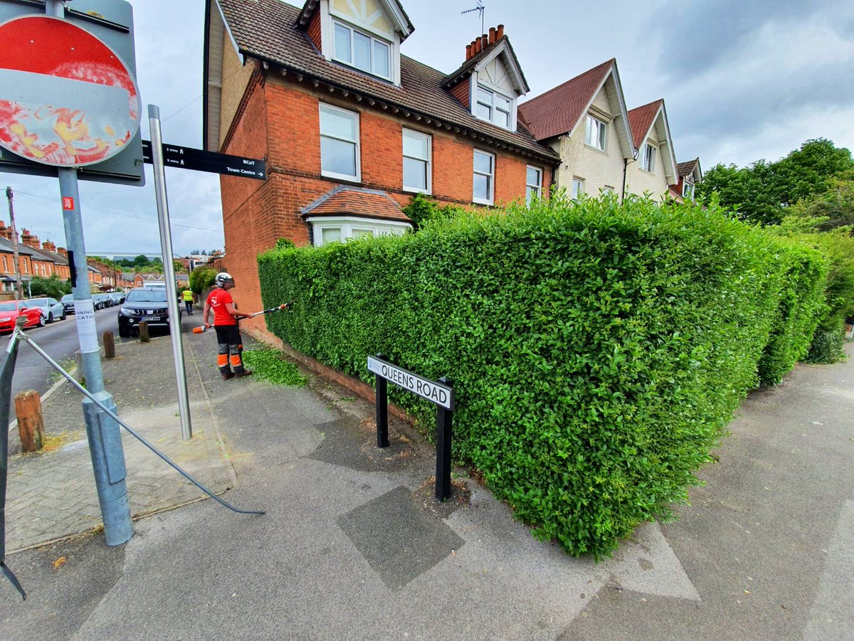 PrimaryTreeSurg's tweet photo. #Hedgecutting #Hedgetrimming #Hedgereduction #Treesurgeons #Treesurgery #Teamwork #workoutdoors https://t.co/rDSvW77CCu