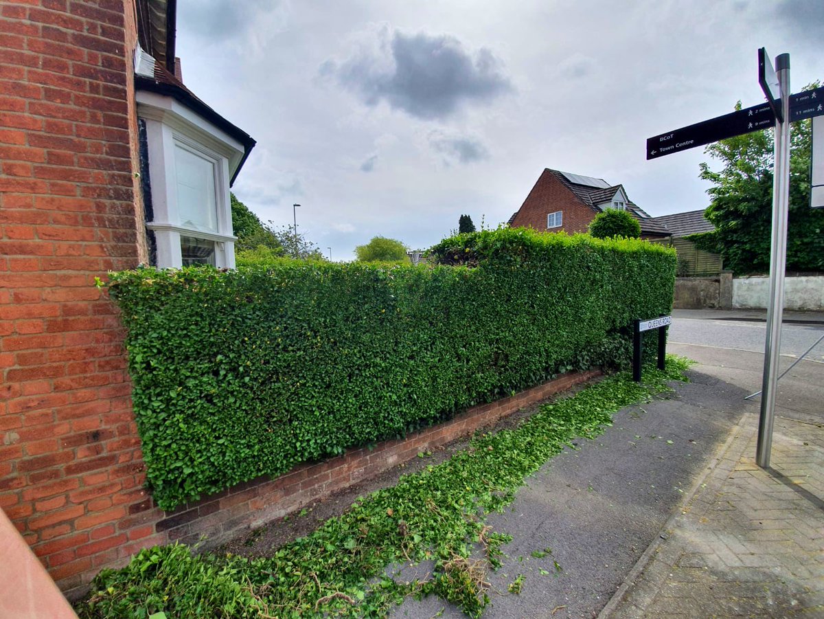 PrimaryTreeSurg's tweet photo. #Hedgecutting #Hedgetrimming #Hedgereduction #Treesurgeons #Treesurgery #Teamwork #workoutdoors https://t.co/rDSvW77CCu
