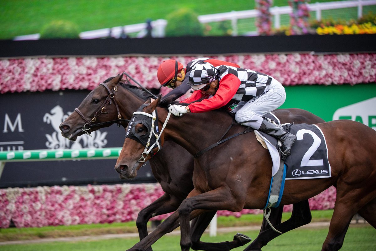 Blake Gatt tweet media