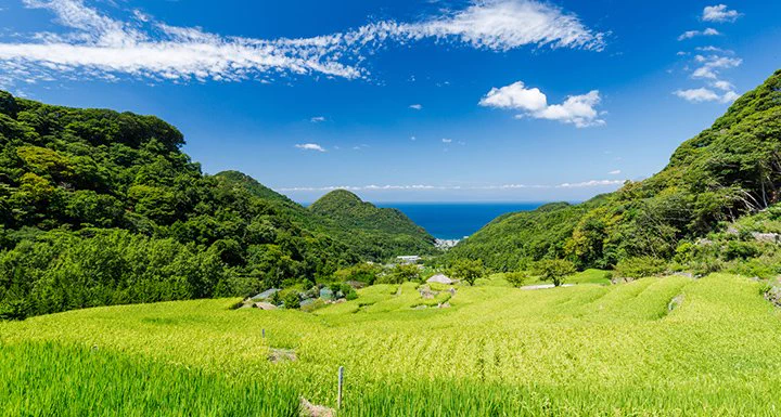 @YK810114514 まあ電車も通ってないし、松崎町が未開のなのも納得ですね…(伊豆半島の左下) 自然豊かで綺麗な場所なのでオススメです！ 勝手にダイマごめんなさいm(_ _)m  