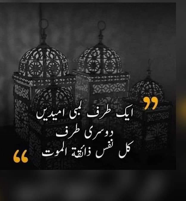 Ahmad Mushtaq tweet media