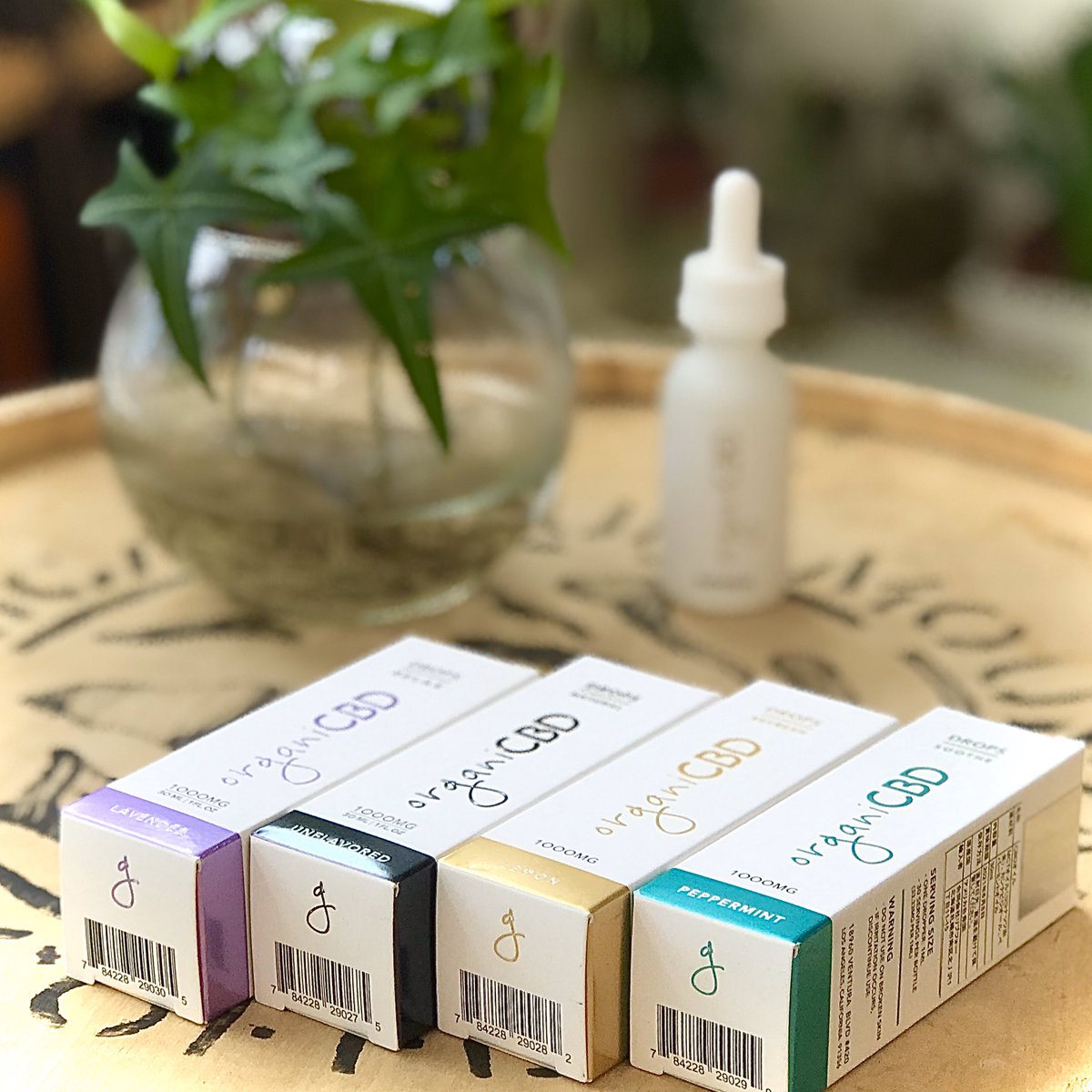 New arrival
【CBDティンクチャー】

今週より平日の営業を再開しておりますので^ ^

#vaporcloud #ベイパークラウド #vape #ベイプ #電子たばこ #cbd #新潟
