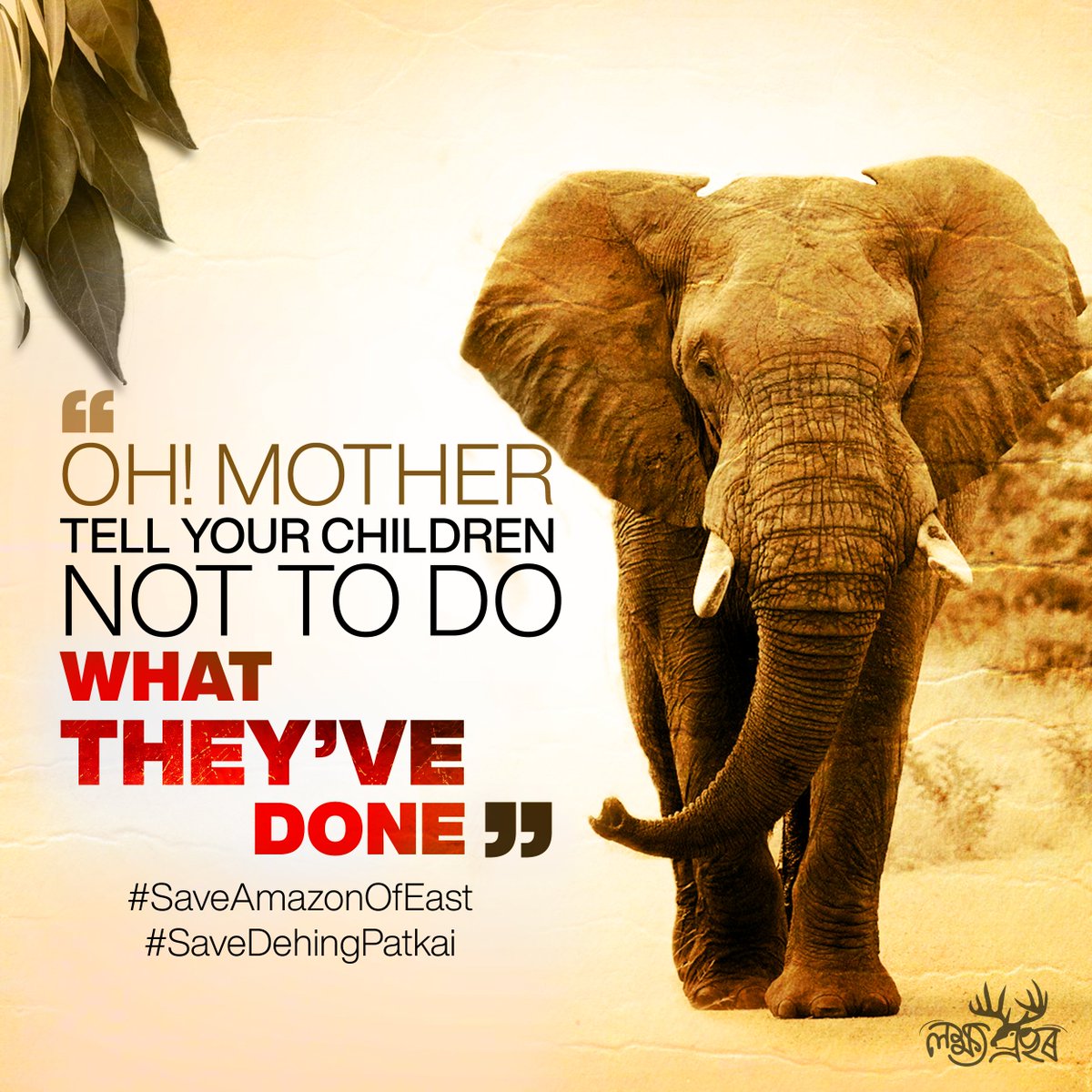 LakhyaProhor's tweet photo. #SaveAmazonOfEast #SaveDehingPatkai #SaveDehingPatkaiElephantReserve 

@WWFINDIA @WWF https://t.co/vrlogqNjxD