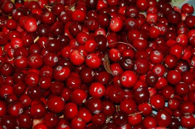 milesmusclesmom's tweet photo. Health Benefits Of Cranberries
https://t.co/PkvKb5uN7F
#HealthBenefitsOfCranberries https://t.co/qkwEtMKb5s