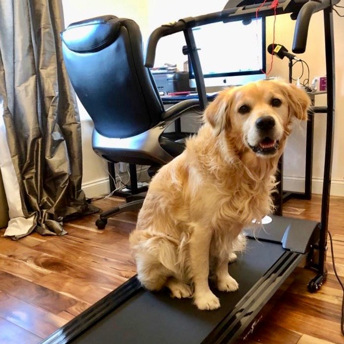 📻 Dean cleas #Rory fuirichibh a-staigh airson beagan eacarsaich 's èistibh #Spòrsnaseachdain 0900 <a href="/BBCRnG/">BBC Radio nan Gàidheal</a> 
🎙️ <a href="/JoMoMMS/">John Morrison</a> 
<a href="/DKMacPhee/">DK MacPhee</a> <a href="/maggiedubh/">Maggie Mac</a> <a href="/Stuart_Urquhart/">Stuart Urquhart</a> <a href="/Dukeyirnbru/">Paul Duke</a> <a href="/FCSonas2020/">FC Sonas</a> <a href="/calum_ferg12/">Calum Ferguson</a> @DonnieForbes10 <a href="/Iomaincolmcille/">Iomain Cholmcille</a> 
<a href="/jingsnelly/">NI</a> 
bbc.co.uk/programmes/m00…