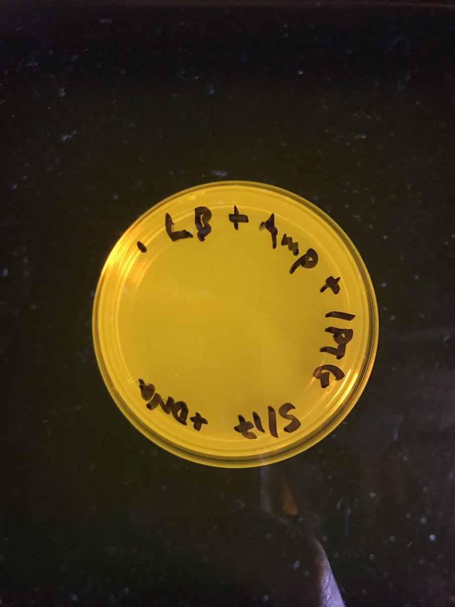 twomicroliters's tweet photo. So, results were...not great. https://t.co/8K0xS4PvwJ