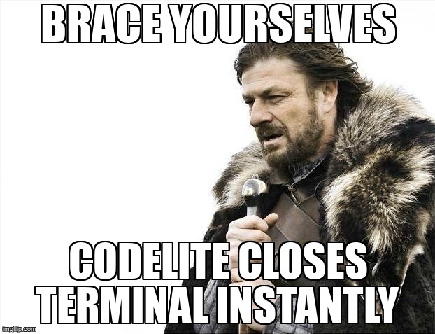overflow_meme's tweet image. CodeLite closes terminal instantly stackoverflow.com/questions/5652… #cpp #codelite