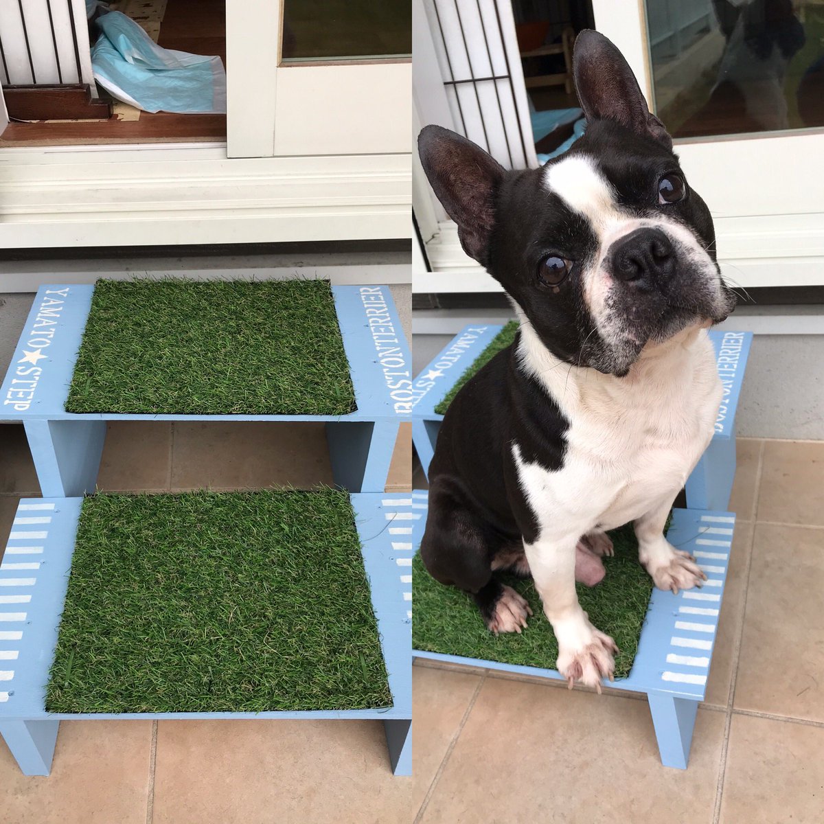 犬用ステップ