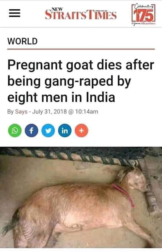 Lucifer52454481's tweet photo. @shubham91552641 @GorkhaRegiment 🙁🤐🤭🤣🤣😆 https://t.co/oBd6RJxzZ0