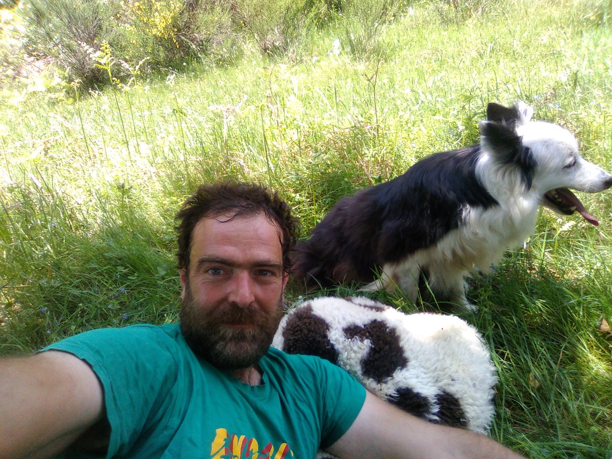 xaiecologic's tweet photo. Per la #Girada d'avui, a la República Collie tenim com a titulars l'equip de gala de la Champions Collie Pastoral!
#Mufis ( senyoreta Mufifu)
#PastorNyerro ( Basajaun) 
I que ens agrada en bogeria folla el nostre món!! ✌️😁
#Sompastors https://t.co/RABoZVONhg
