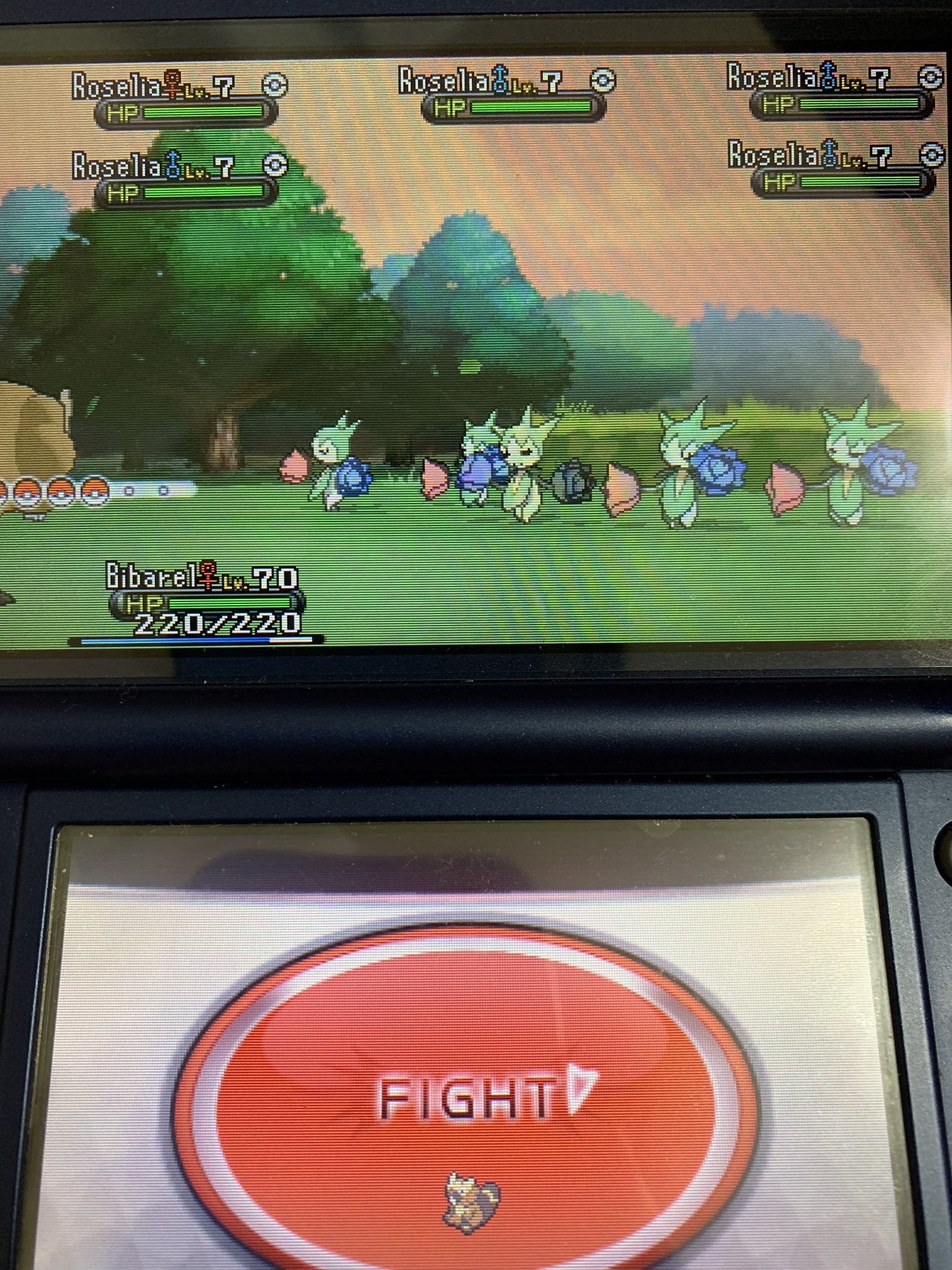 凛 ポケモン Pokerin1026 Twitter
