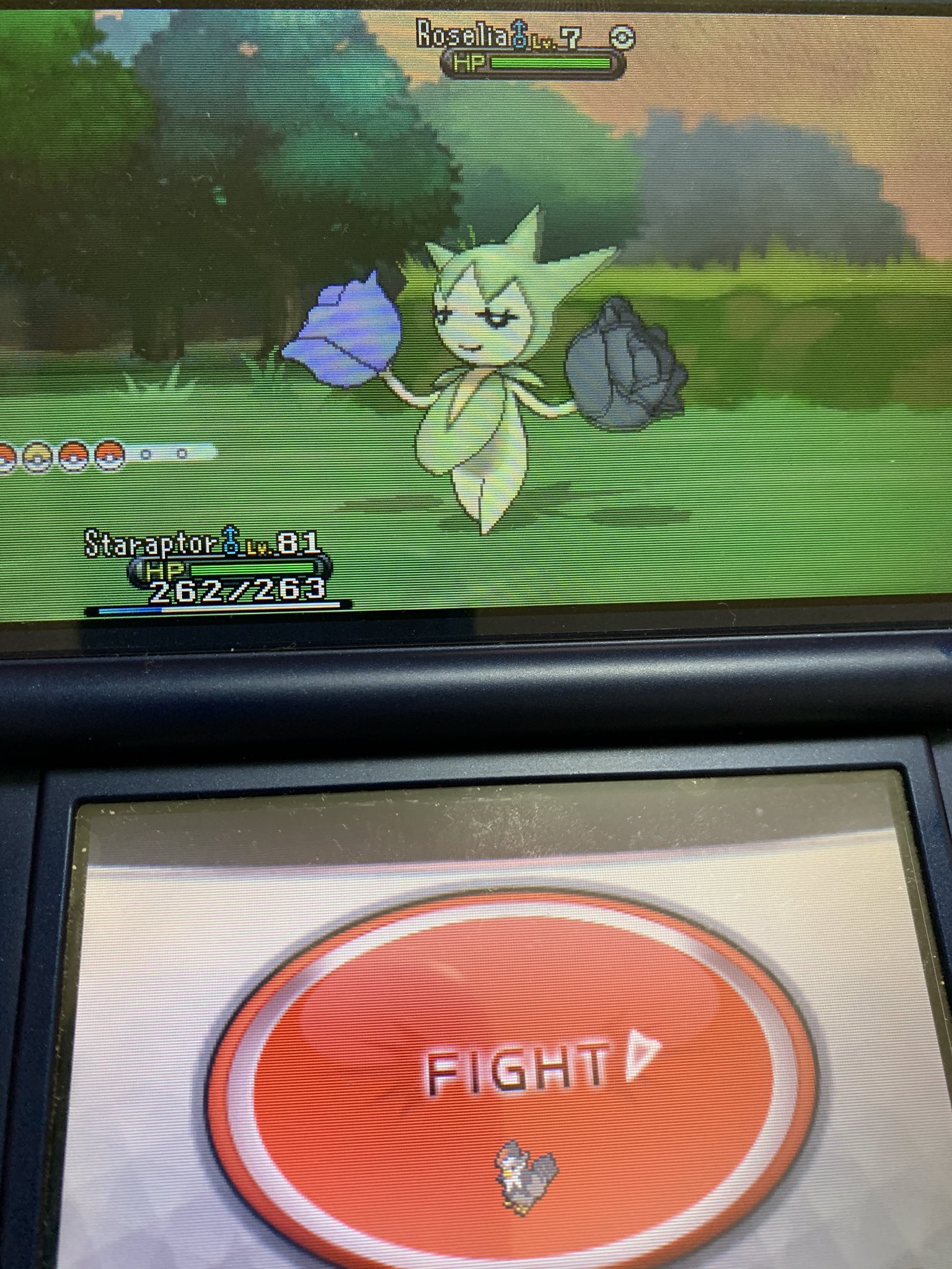 凛 ポケモン Pokerin1026 Twitter