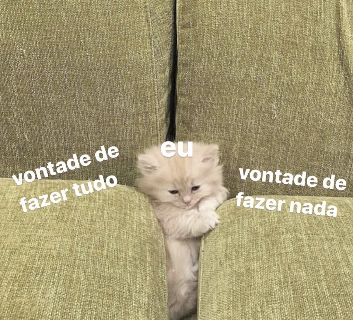 ste serbu tweet media