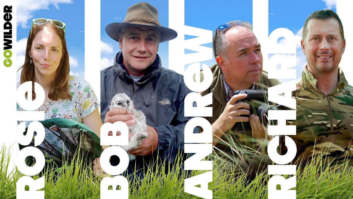 KentWildlife's tweet photo. Want to learn more about bees, birds and bats? Our #bee expert, Rosie, shares fascinating facts about bees in the new YouTube series #GoWilder. Watch here: https://t.co/n8x2nMzHED
#WildAtHome #WiderExperts https://t.co/PGQuQG0TPS