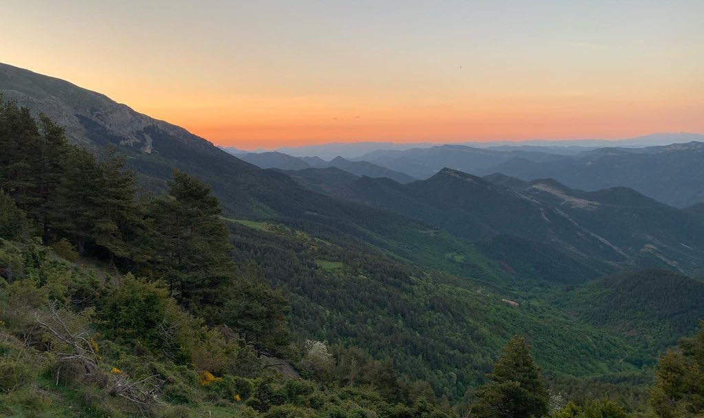 marfauped's tweet photo. Avui ha tocat #matinar! 🌄
#PladeCanells #Puigllançada #Comafloriu #elsOrris #RefugideRebost #Bagà #PNCadíMoixeró #Berguedà #Catalunya https://t.co/HFuI3Ub5Lf